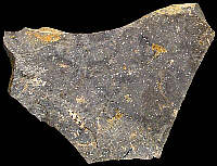 Flake of typical flint