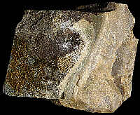 Nodule of Early Cretaceous chert