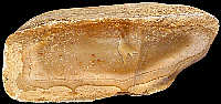 Flattish pebble of coarser material