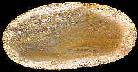 Small pebble of Hauterivian flint