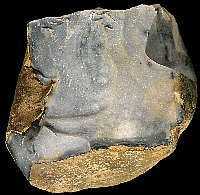 Nodule of Campanian CE1c flint