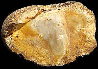 Small nodule of CN2a Cretaceous flint.
