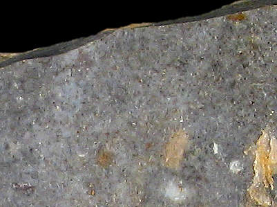 Detail of Bj4a wackestone