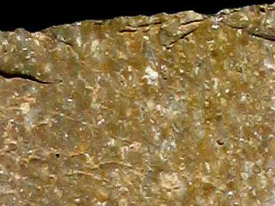 Detail of Jurassic grainstone