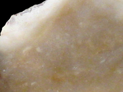 Close-up of CN2a silex