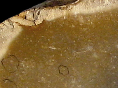 Detail of Senonian CN3a flint