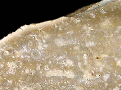 Flint with numberous inclusions