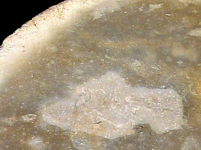 Macroscopic photo of CN4c flint