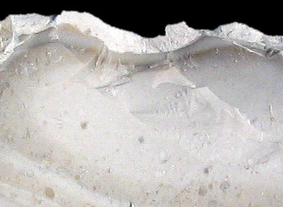 Close-up of Kimmeridgian flint
