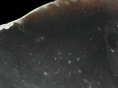 Detail of dark glassy flint
