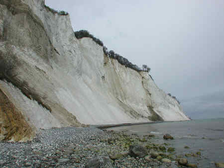 Famous white cliffs at Møns klint