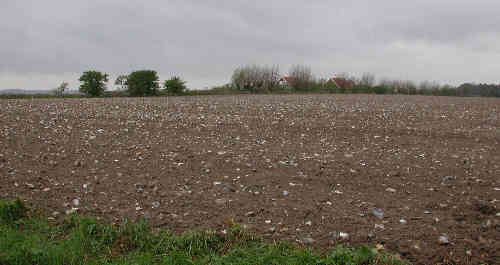 Flint-littered fields