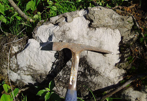 Chert embedded in Limestone