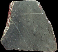 Dark Early Cretaceous chert