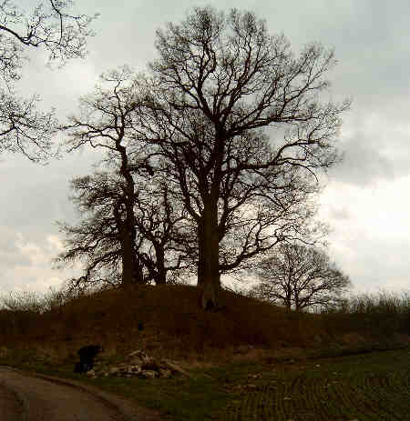 Prehistoric burial mound