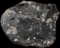 Large flake from Rabelöv